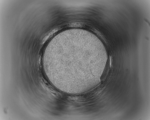 X0000102250723200808221352