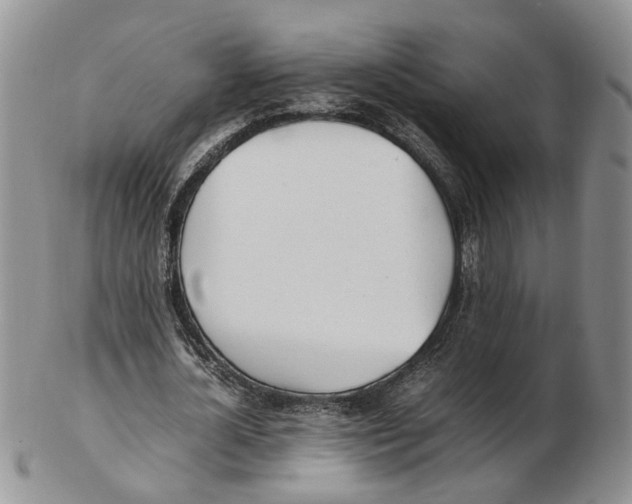 X0000102250724200808221352