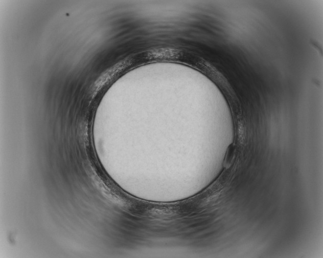X0000102250725200808221352