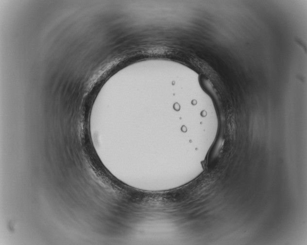 X0000102250728200808221352