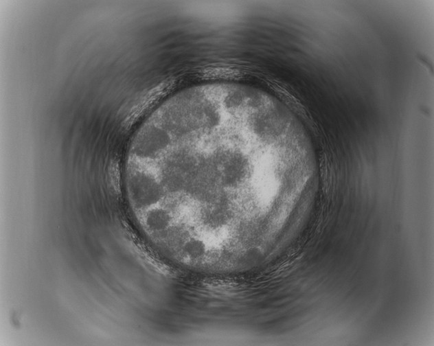 X0000102250729200808221352