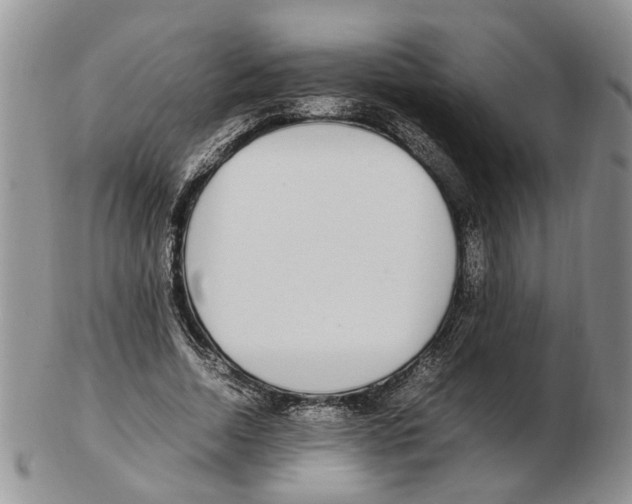 X0000102250730200808221352