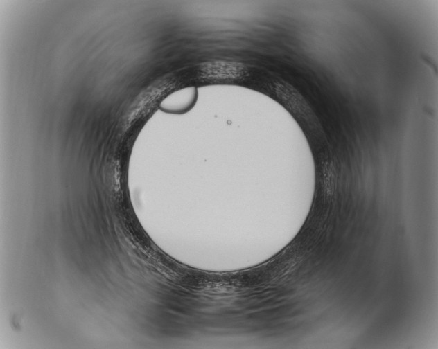 X0000102250731200808221352