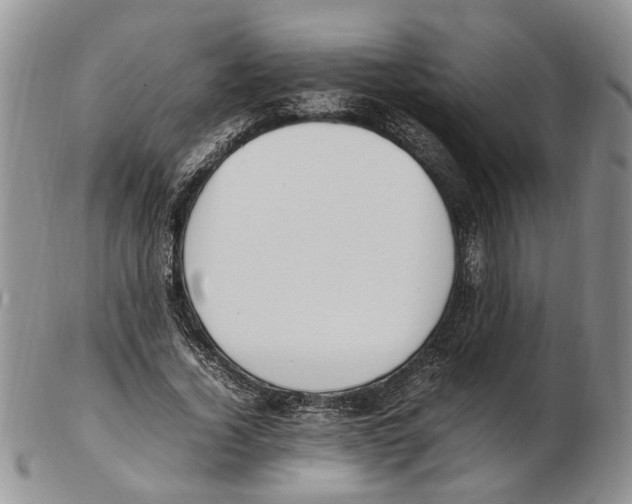 X0000102250732200808221352