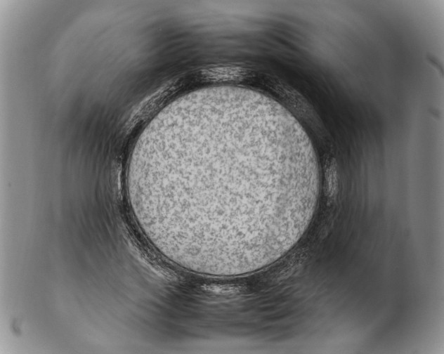 X0000102250733200808221352