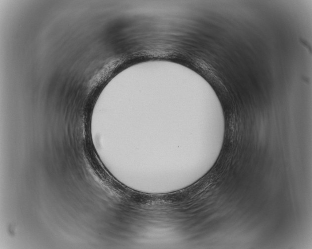 X0000102250734200808221352