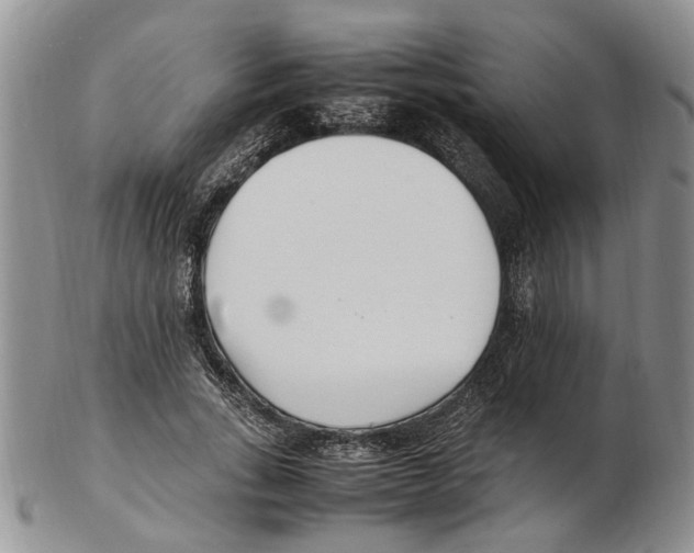 X0000102250735200808221352