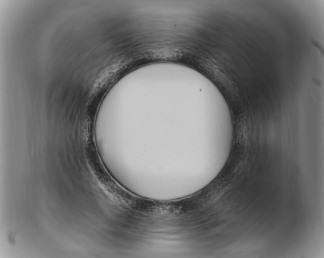 X0000102250736200808221352