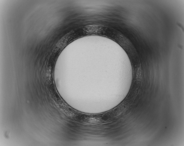 X0000102250737200808221352
