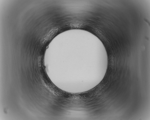 X0000102250738200808221352