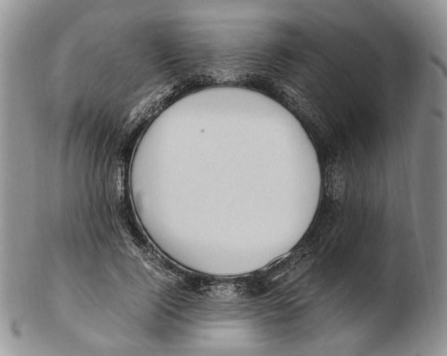 X0000102250740200808221352