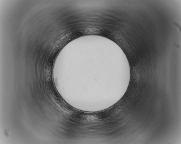 X0000102250741200808221352