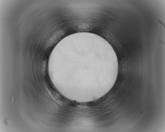 X0000102250742200808221352