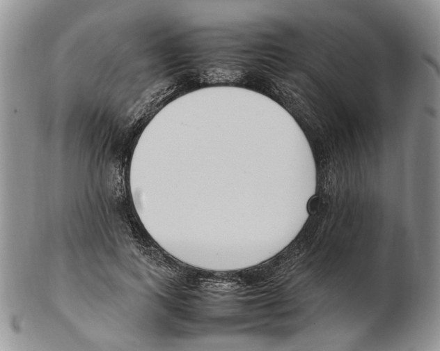 X0000102250743200808221352