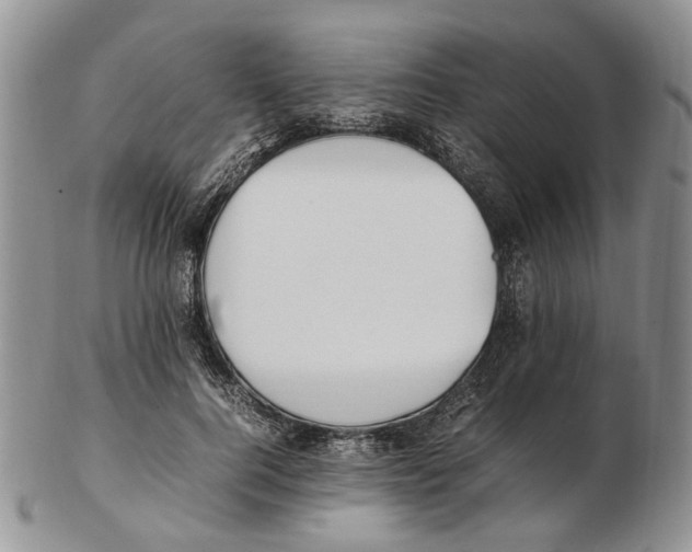 X0000102250744200808221352