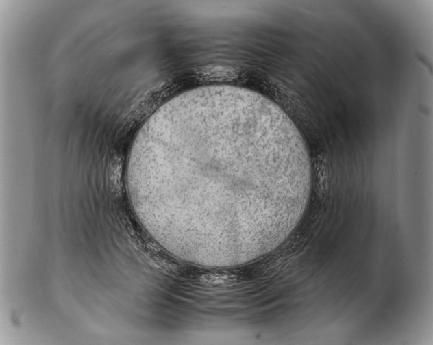 X0000102250745200808221352