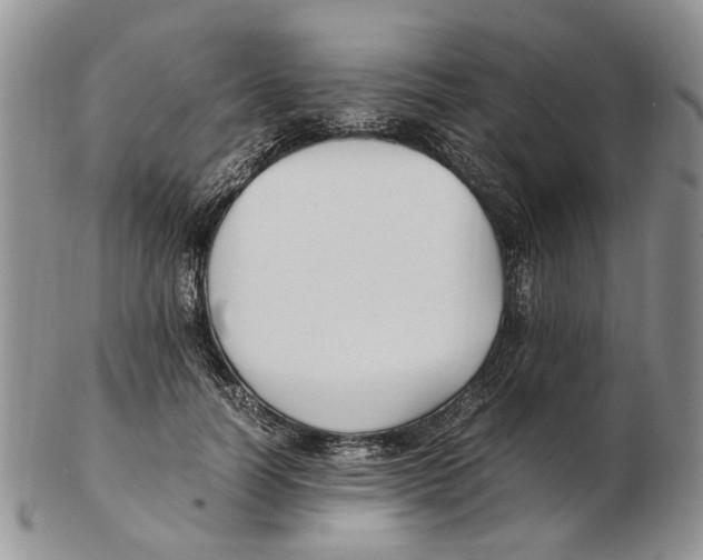 X0000102250746200808221352