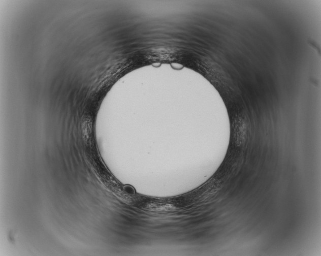 X0000102250747200808221352