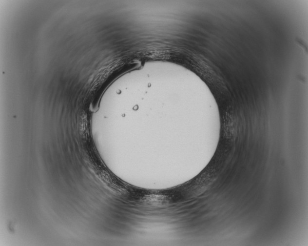 X0000102250748200808221352