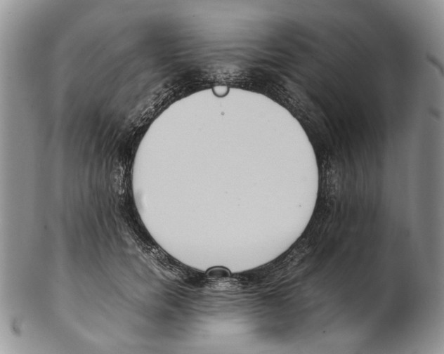 X0000102250750200808221352