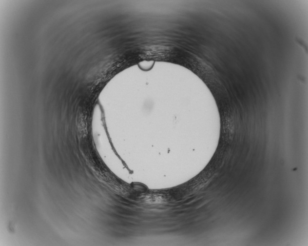 X0000102250751200808221352