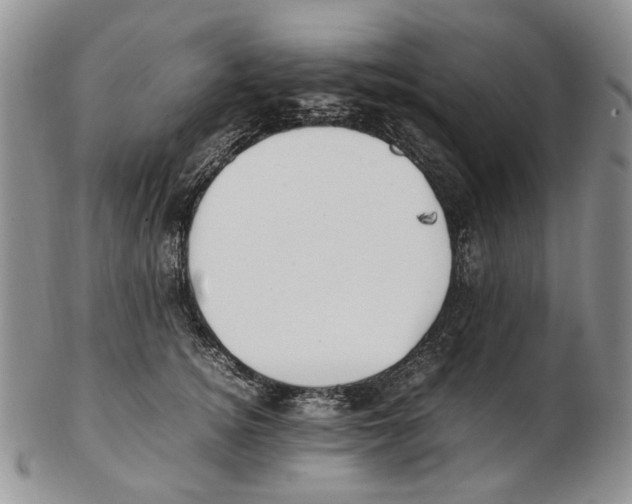 X0000102250756200808221352