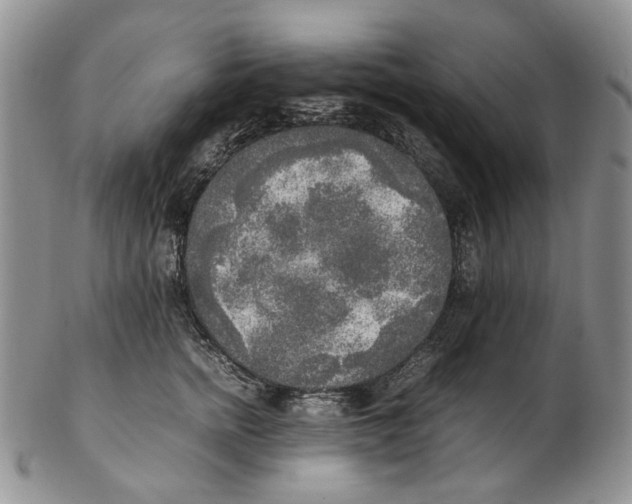 X0000102250758200808221352