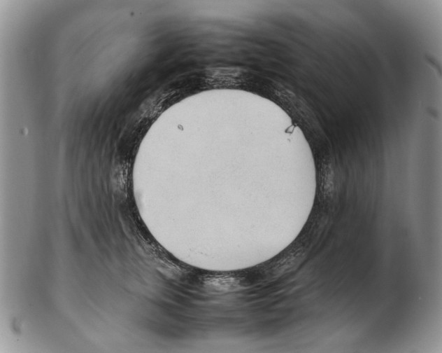 X0000102250759200808221352