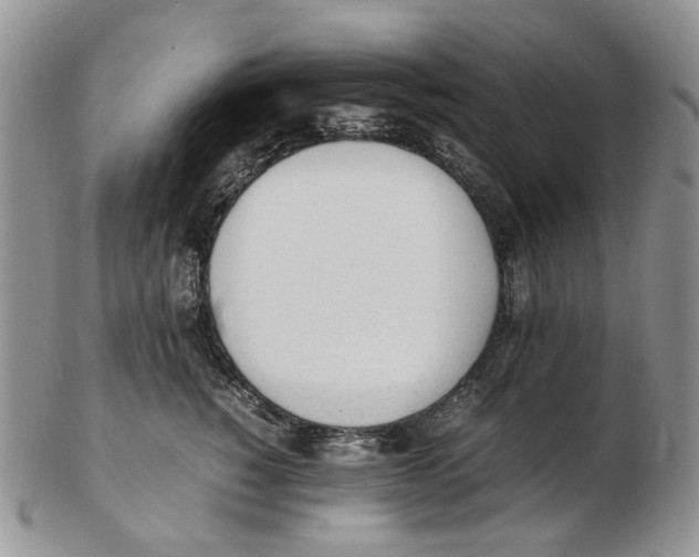 X0000102250760200808221352