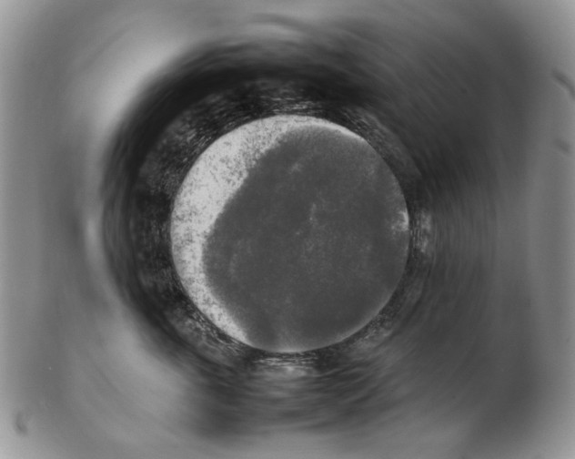 X0000102250763200808221352