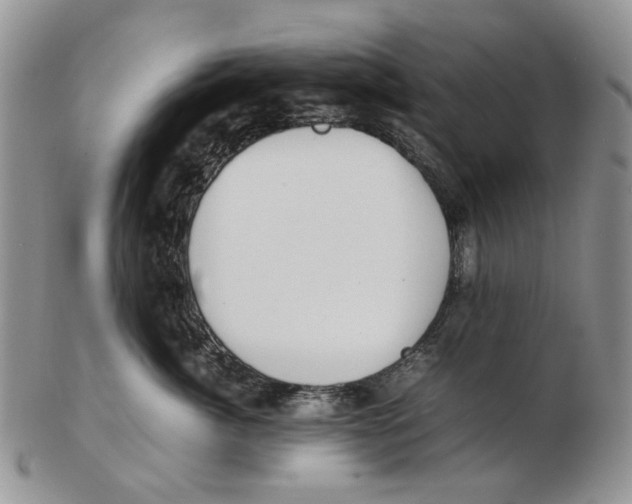 X0000102250764200808221352