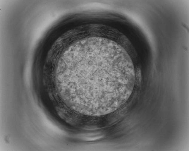 X0000102250765200808221352