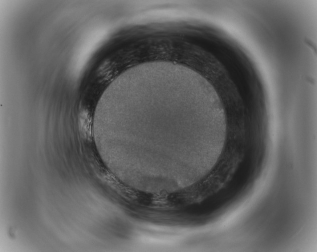 X0000102250766200808221352