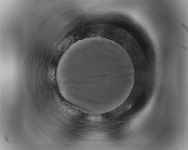 X0000102250767200808221352