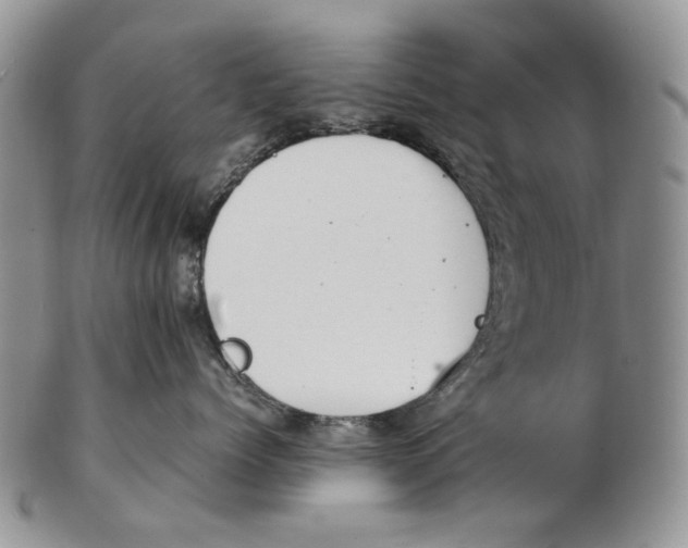 X0000102250768200808221352
