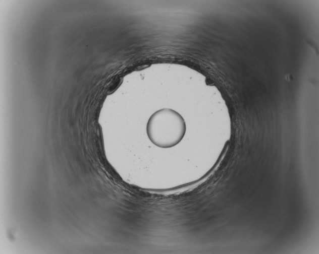 X0000102250769200808221352
