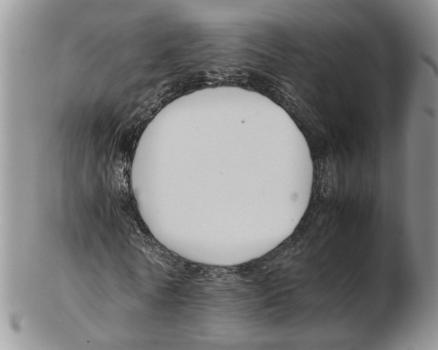 X0000102250770200808221352