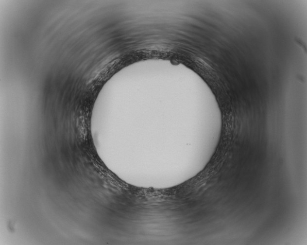 X0000102250774200808221352