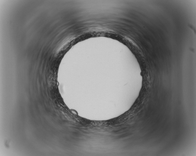 X0000102250775200808221352