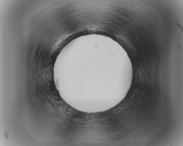 X0000102250776200808221352