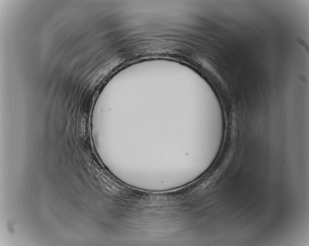 X0000102250777200808221352