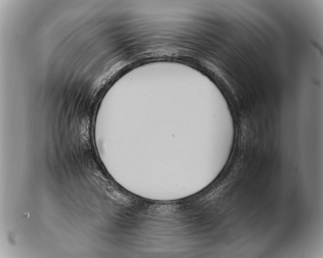 X0000102250778200808221352