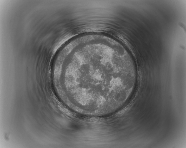 X0000102250779200808221352