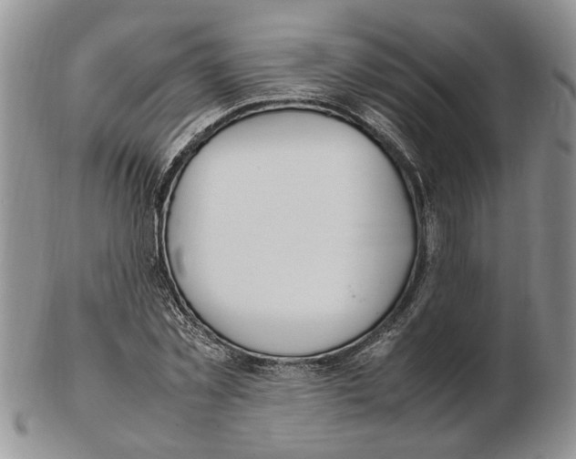 X0000102250781200808221352