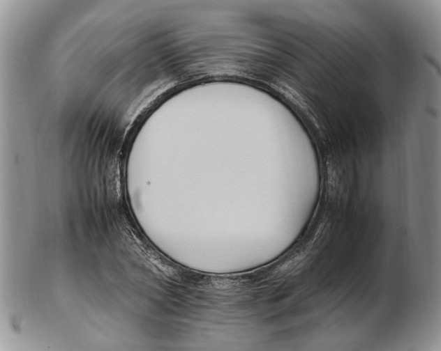 X0000102250782200808221352