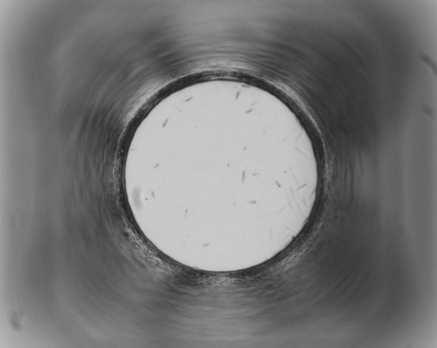 X0000102250783200808221352