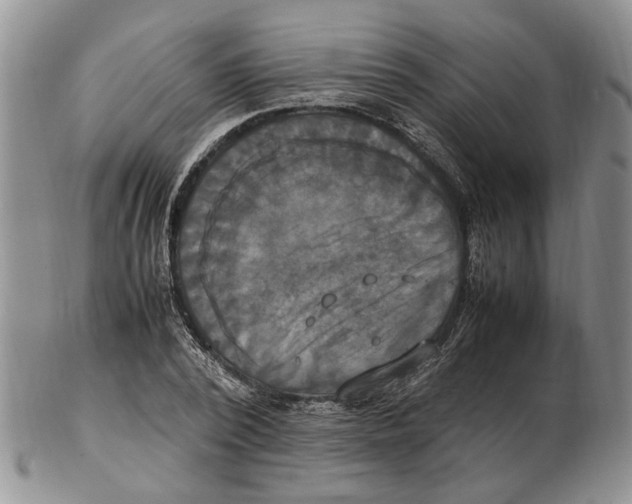 X0000102250784200808221352