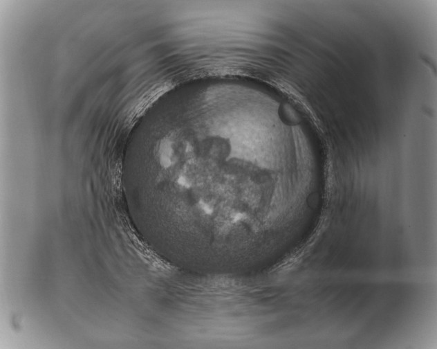 X0000102250785200808221352