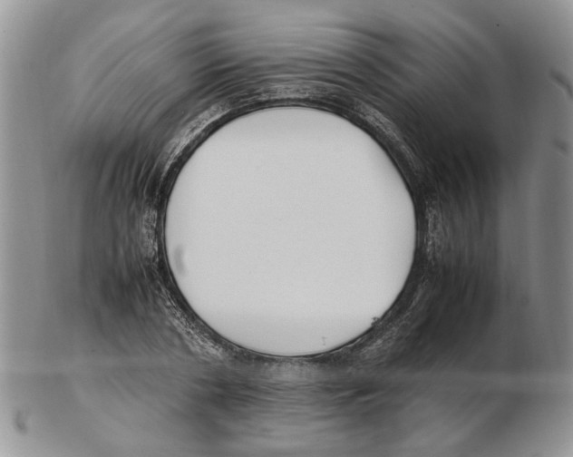 X0000102250786200808221352