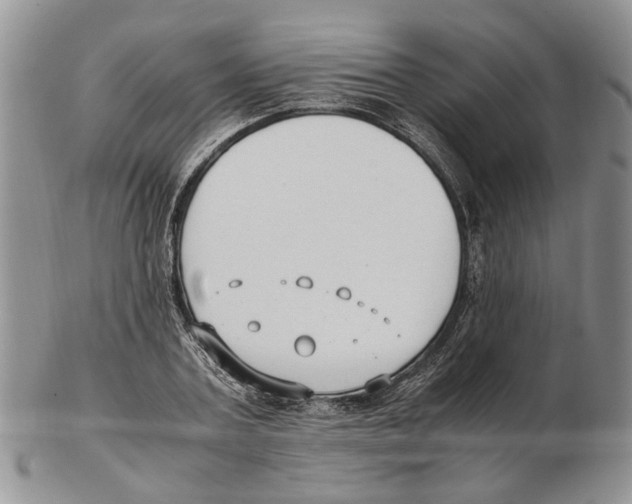 X0000102250787200808221352
